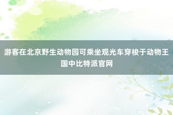 游客在北京野生动物园可乘坐观光车穿梭于动物王国中比特派官网