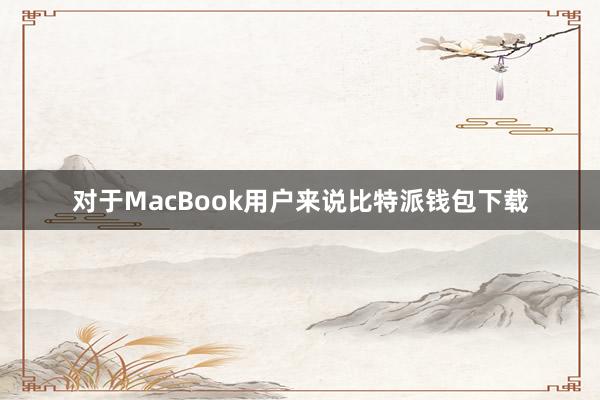 对于MacBook用户来说比特派钱包下载